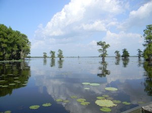 My favorite photo. The reflections are amazing.