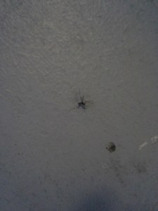 blood sucking villain